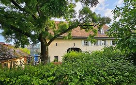 Blue Wall Bnb