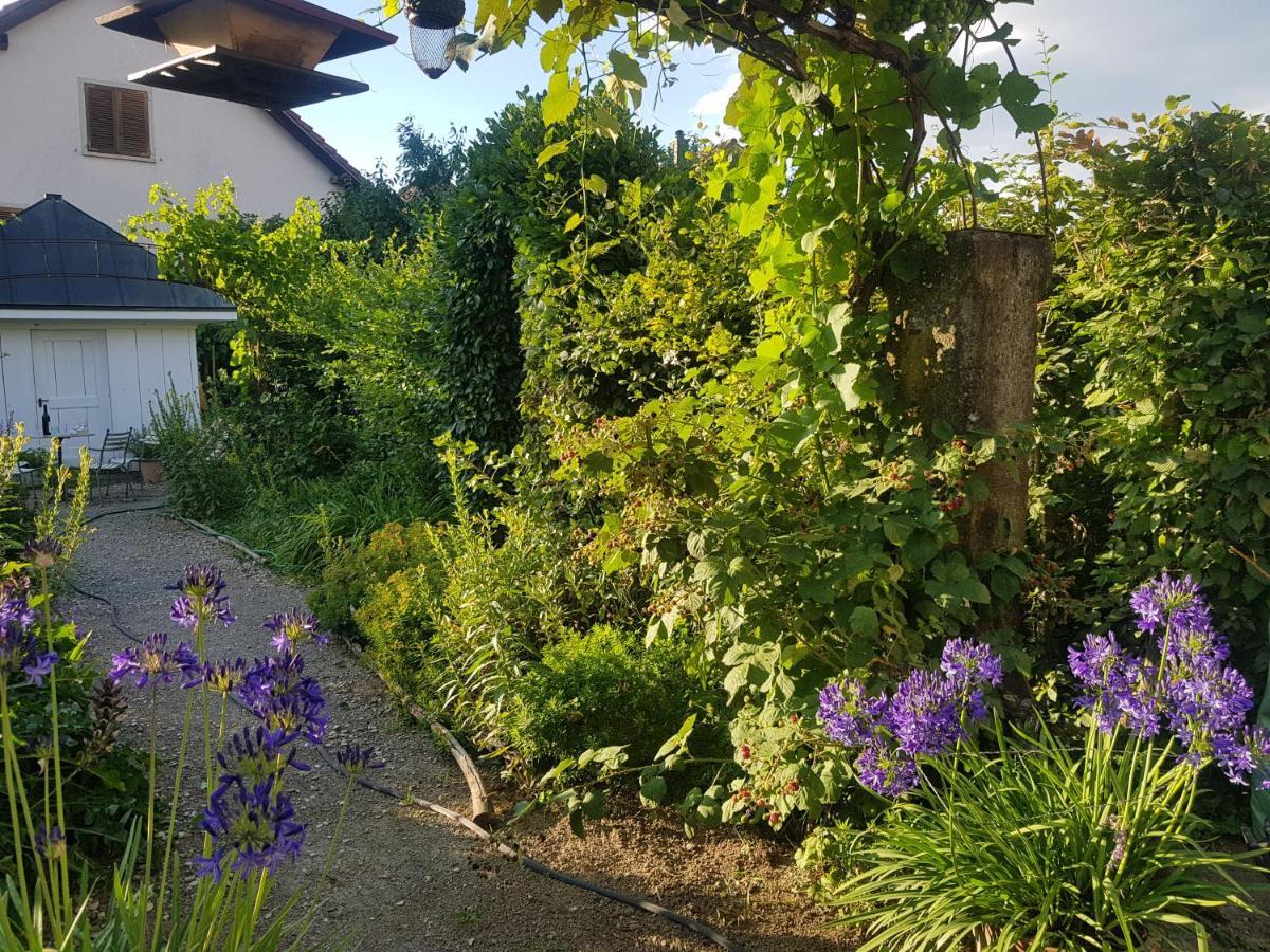 Blue Wall Bnb Gebenstorf Extérieur photo