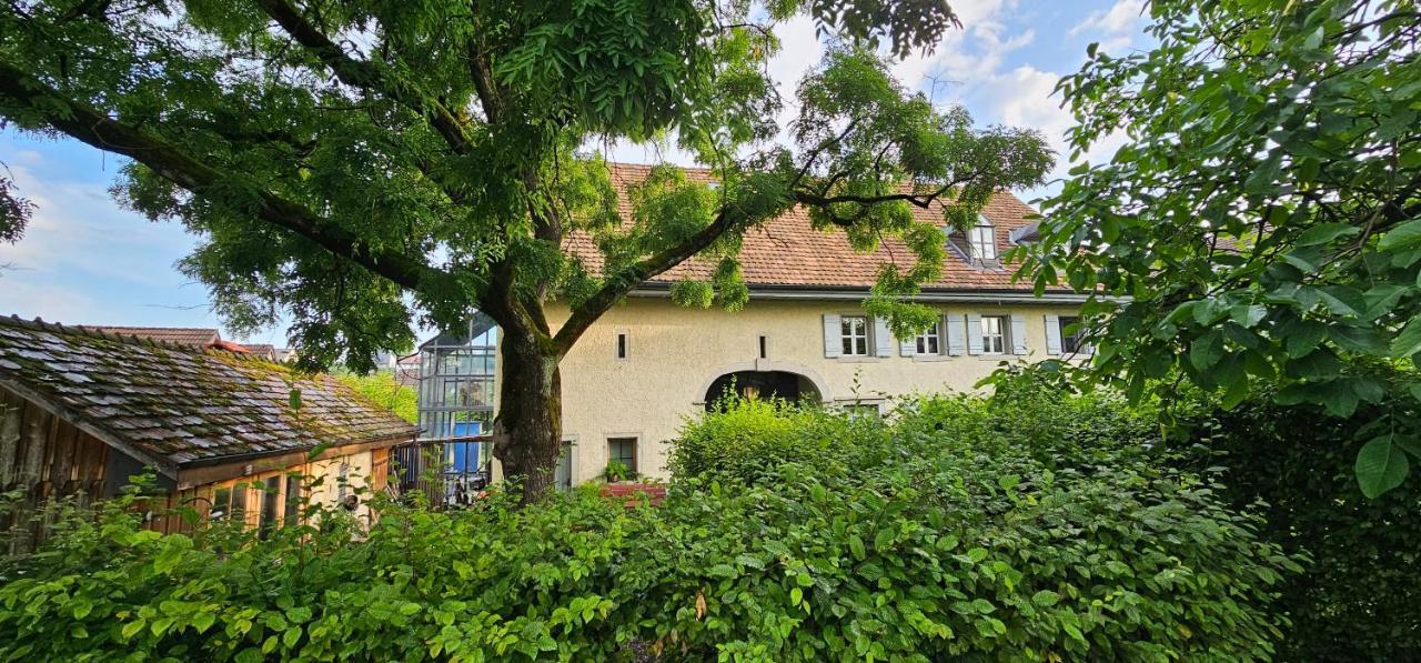 Blue Wall Bnb Gebenstorf Extérieur photo