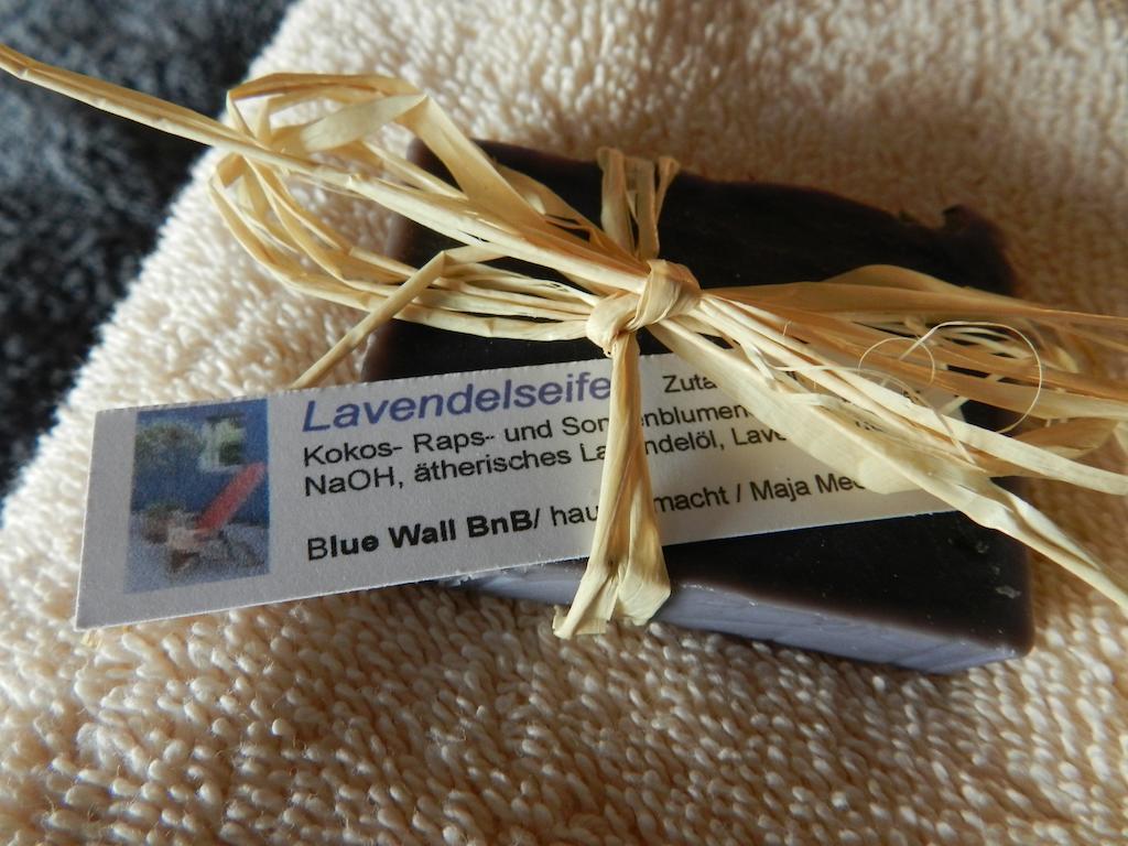 Blue Wall Bnb Gebenstorf Extérieur photo